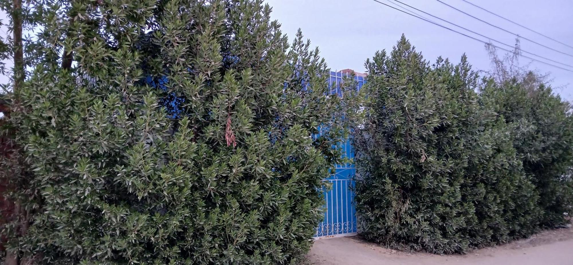 Studio House Луксор Екстер'єр фото